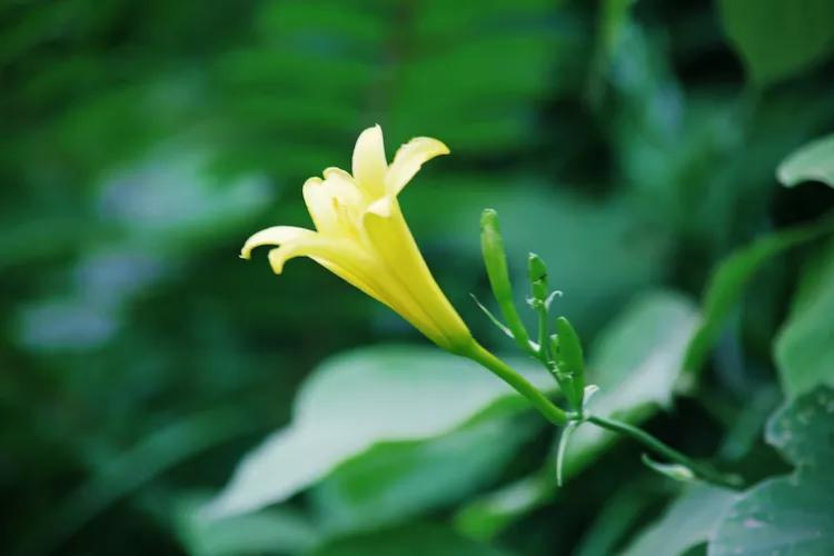 单反快速入门索尼,单反自动挡是哪个