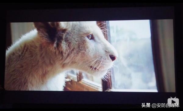 hdmi光纤线最高版本是什么,有hdmi2.1接口的电视机买hdmi什么线