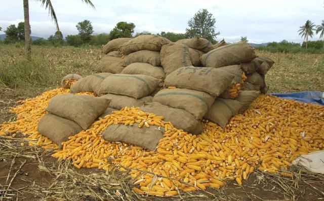 在保定开一家便利店挣钱吗,小超市卖瓶洗衣液利润在多少