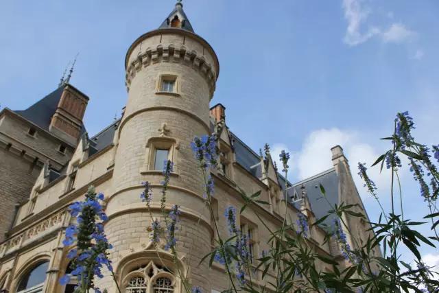 中国有多少个新东方学校,中国有国际西餐学校么