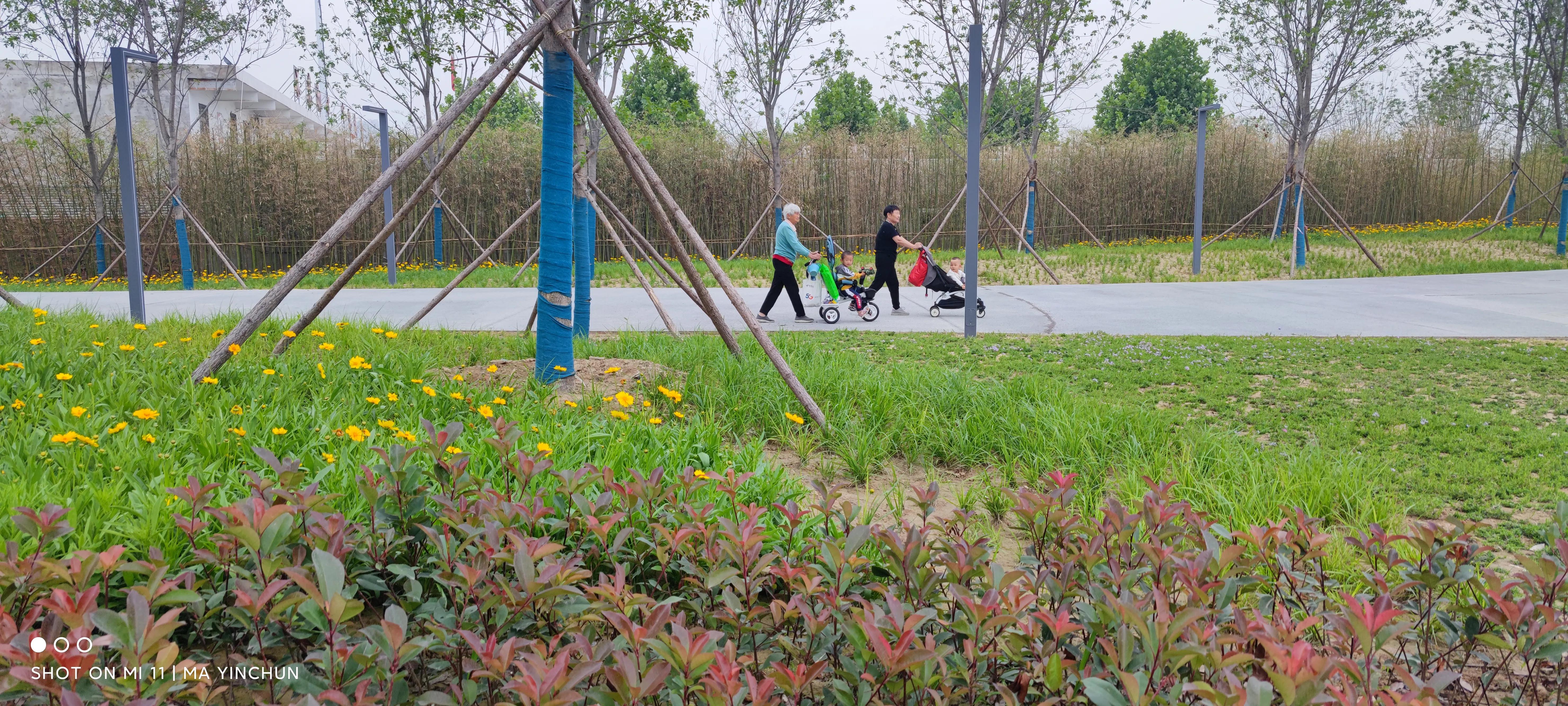 缁欏瀛愮幆淇濈邯蹇靛搧绀肩墿,缁欏皬鏈嬪弸鐨勪綋鑲插皬绀肩墿