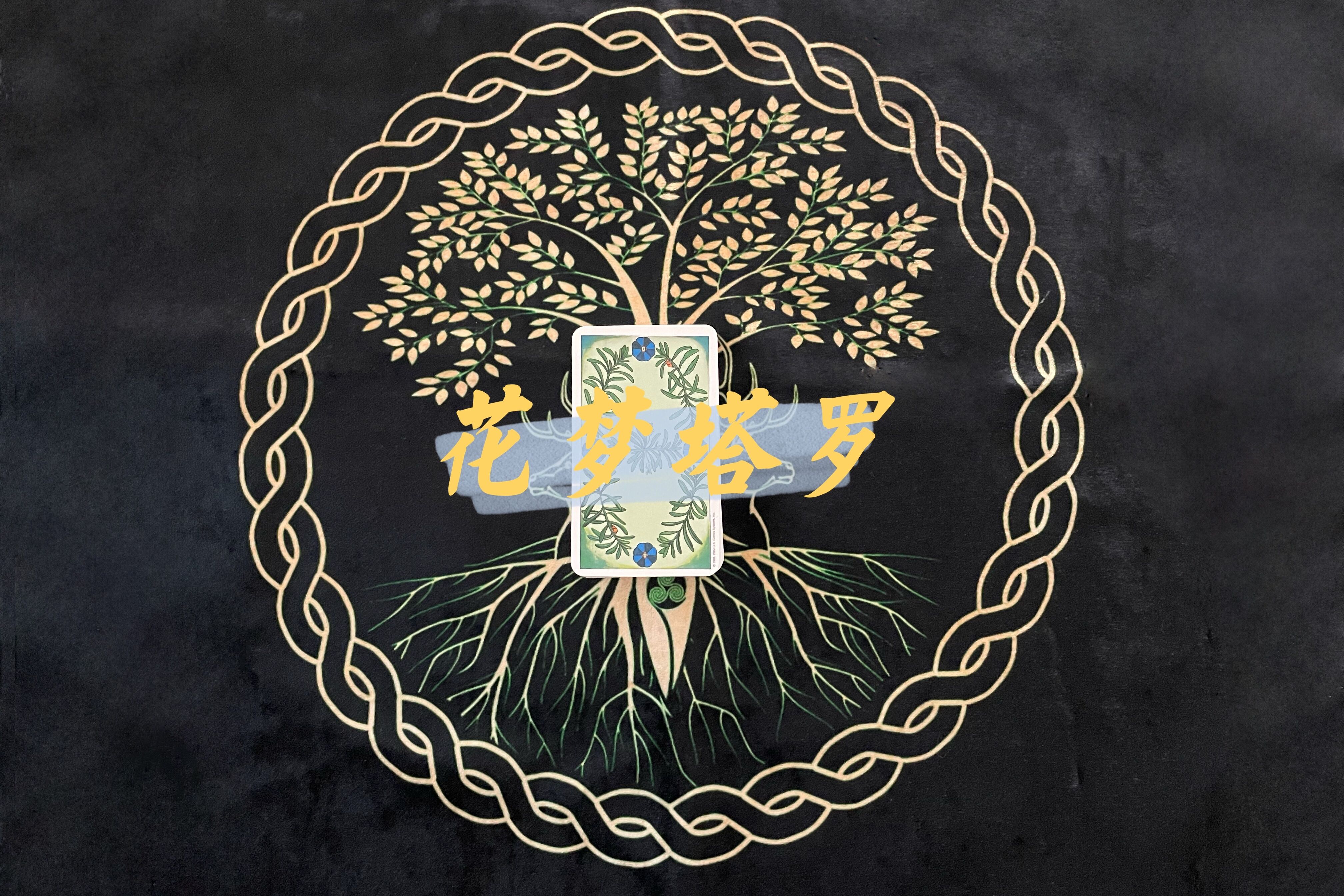 灵巫塔罗天蝎座11月份感情运势,天蝎座11月份运势新月塔罗