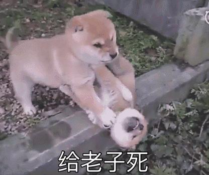 西安串串比拼,西安最好吃的串串大测评