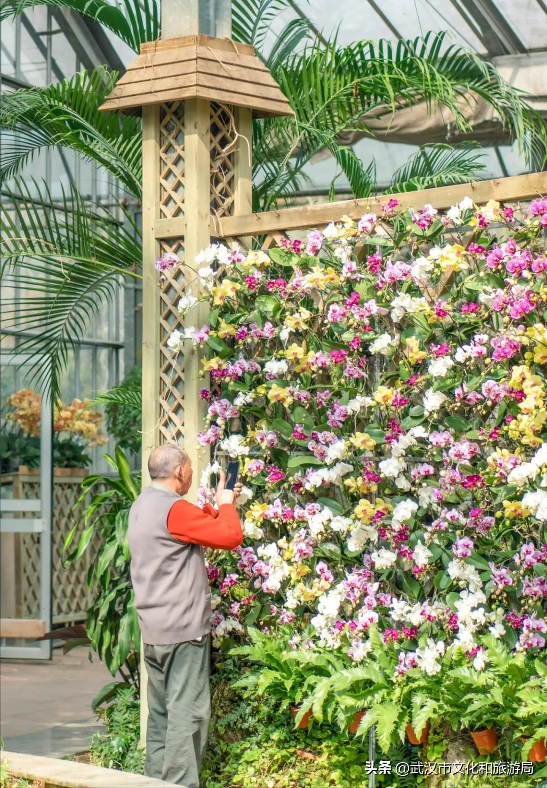 武汉人春节都去哪里玩,武汉人游玩攻略必去景点