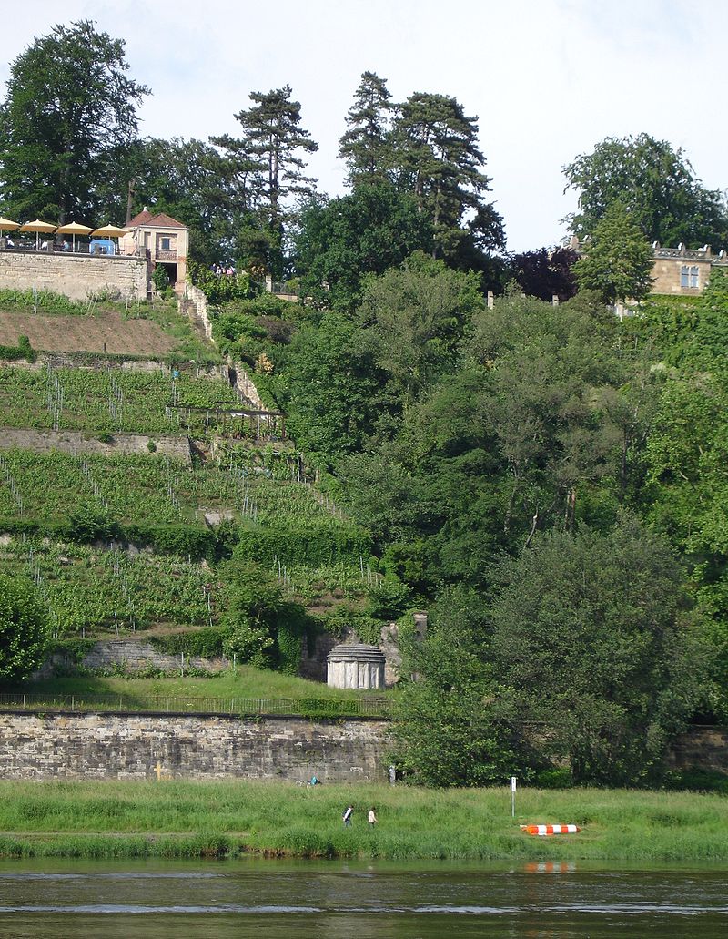 新面孔却老资格德国牙膏品牌|扒一扒Prokudent和Odol-med3