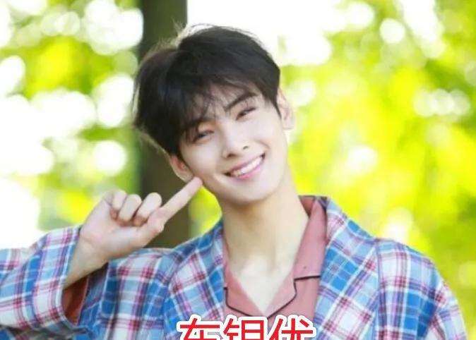 车银优权志龙同台,韩国男明星车银优在韩国的地位