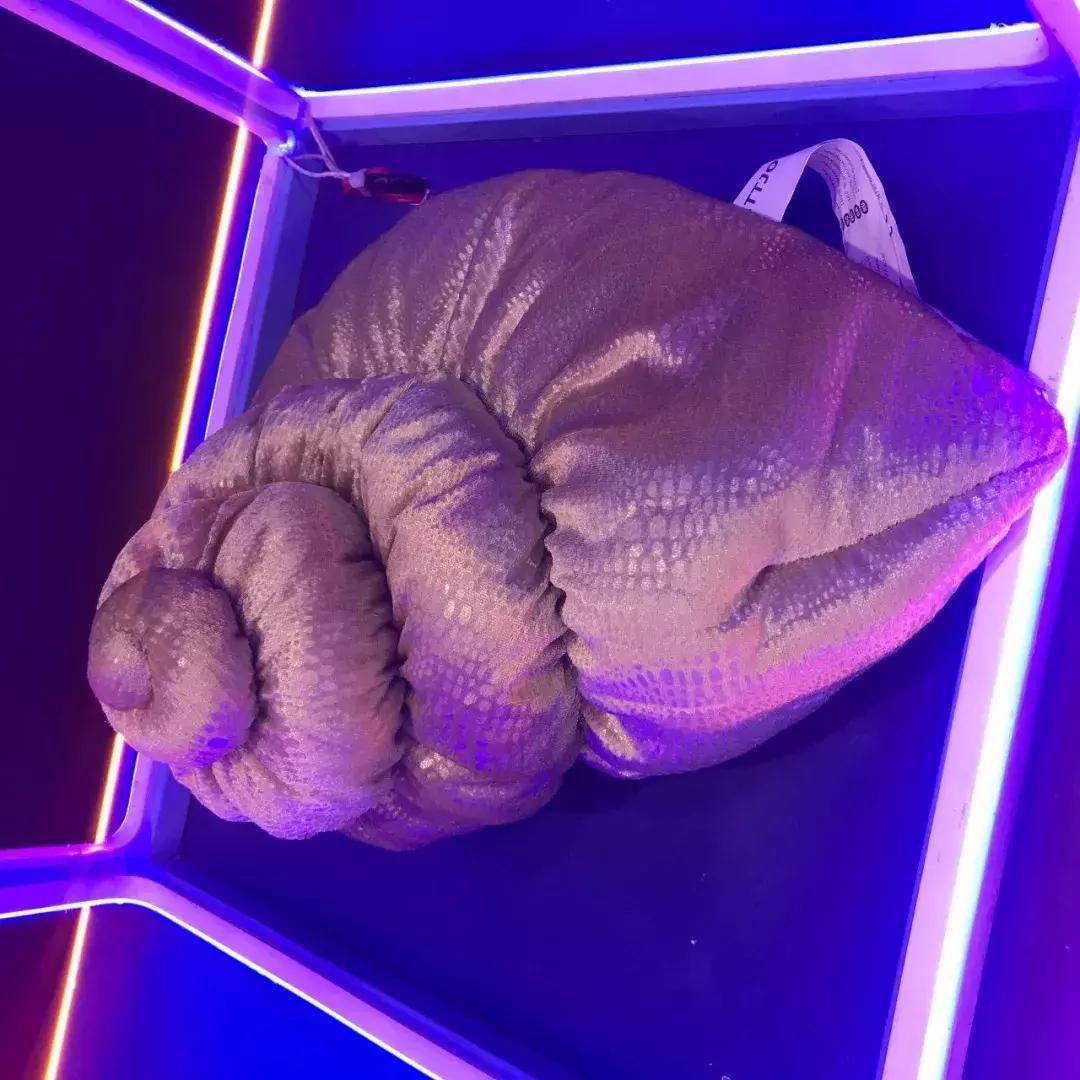 瀹滃澶辫触妗堜緥,瀹滃缁忓巻杩囩殑鍗辨満