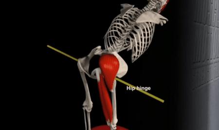 髋发力动作模式,髋骨疼痛的动作怎么练