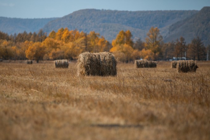 自驾呼伦贝尔|七千里路云和月,写给秋天和自己的故事