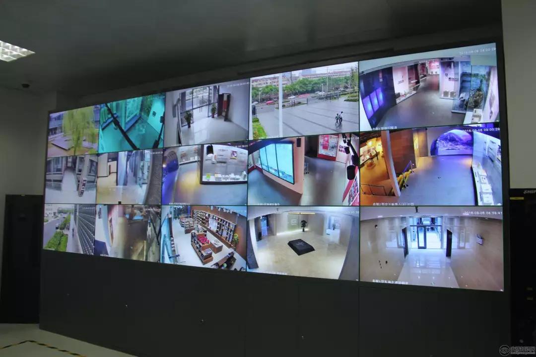 乌鸦兄弟这篇文章明白了什么道理,读了这篇文章使我明白了很多道理