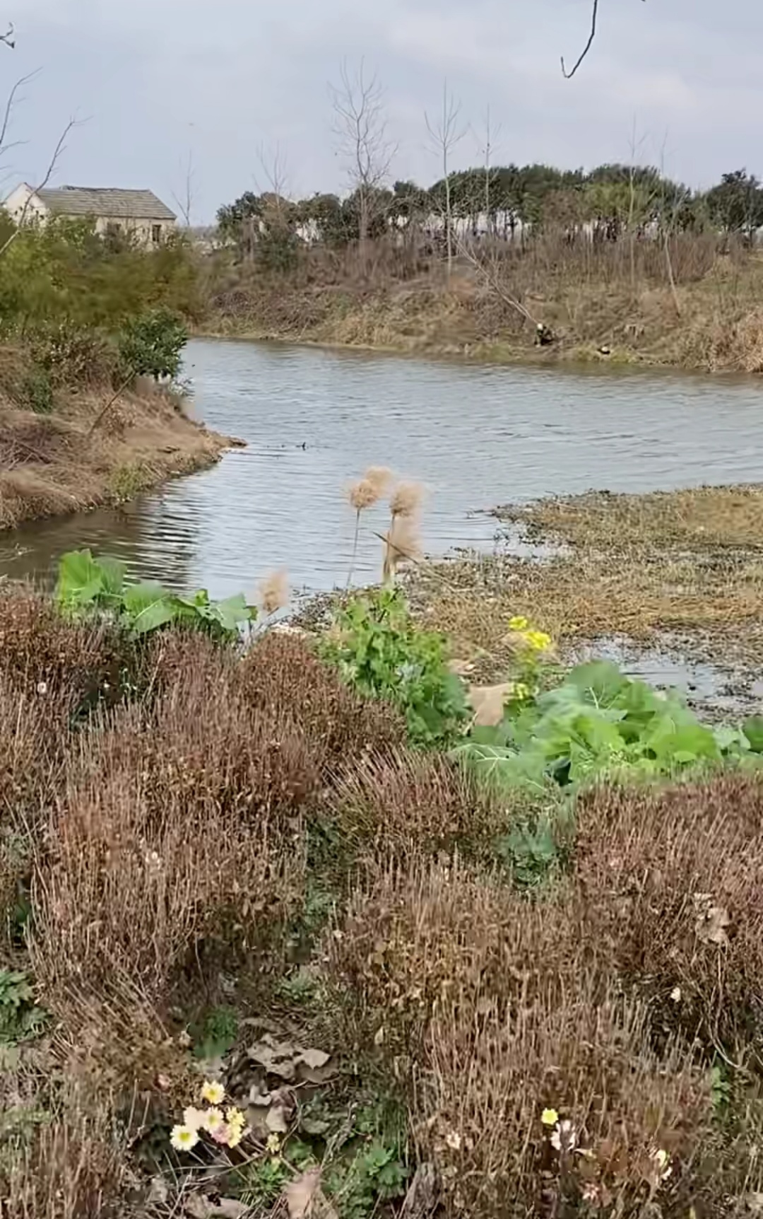 野钓之后鱼竿怎么保养,海竿钓鱼的最佳配件