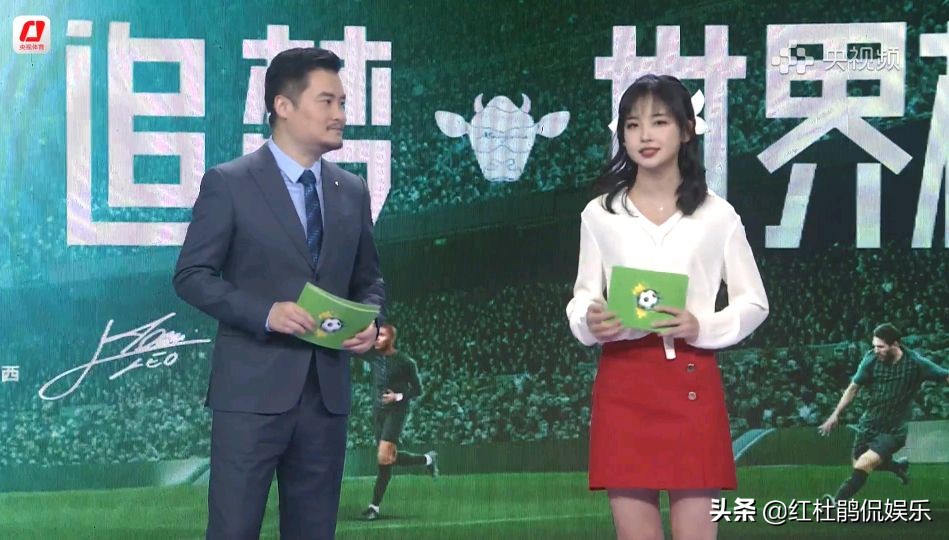 央视王冰冰个人资料简介,央视主持人跨界唱歌王冰冰