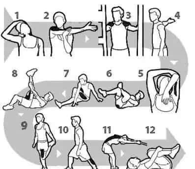 为什么女性的腿比男性的粗,女生什么样的腿型是标准的身材