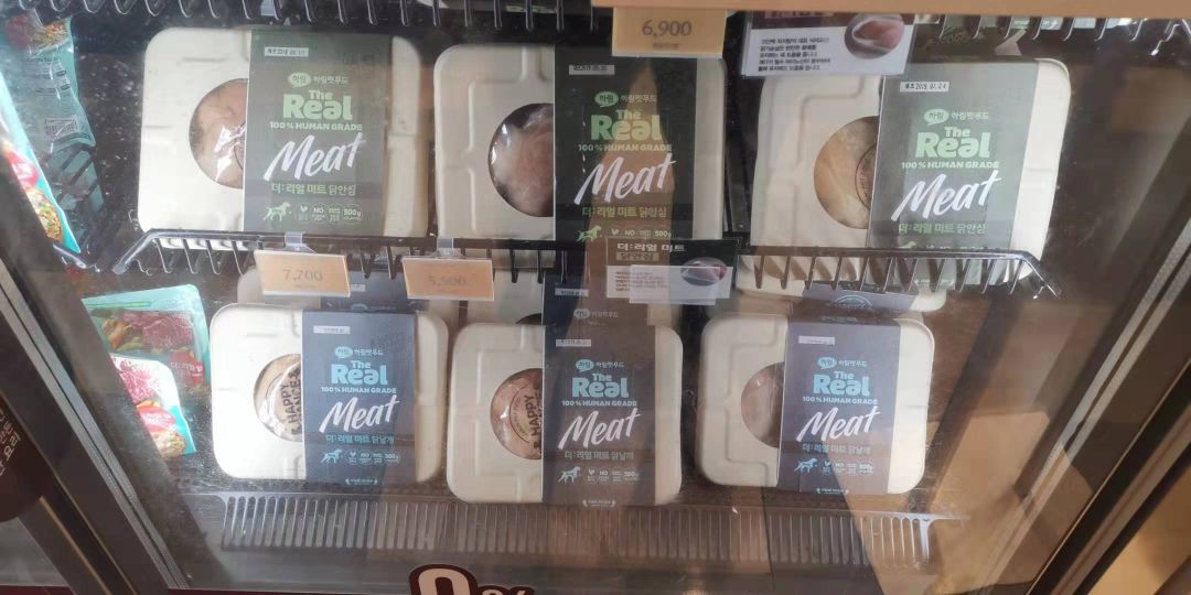 韩国宠物店推荐,韩国宠物店体验