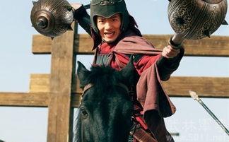 杨再兴和岳云打金兀术是第几集,岳家军十大猛将杨再兴