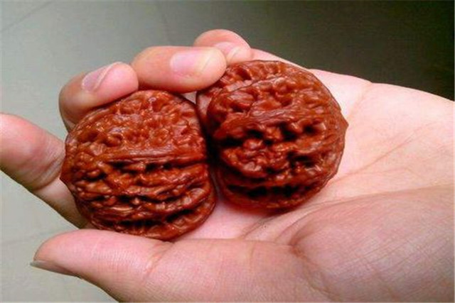 閲庢牳妗冪洏濂界殑鏍峰瓙,娉ㄦ剰鍥涚偣缁嗚妭