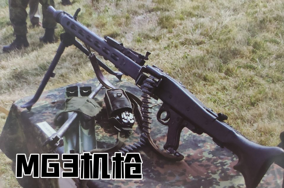 英国枪史图册全篇,德国枪图片