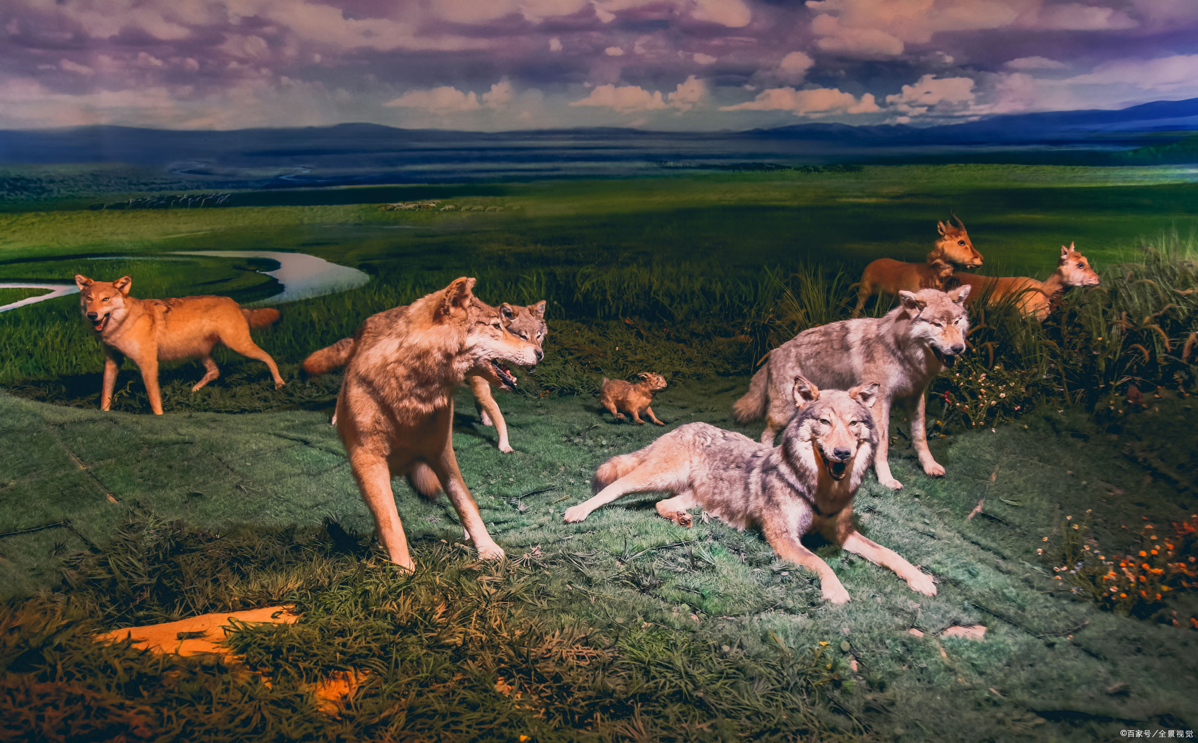 男人的软弱在婚姻中的表现,男人在婚姻中最容易犯的一个错误