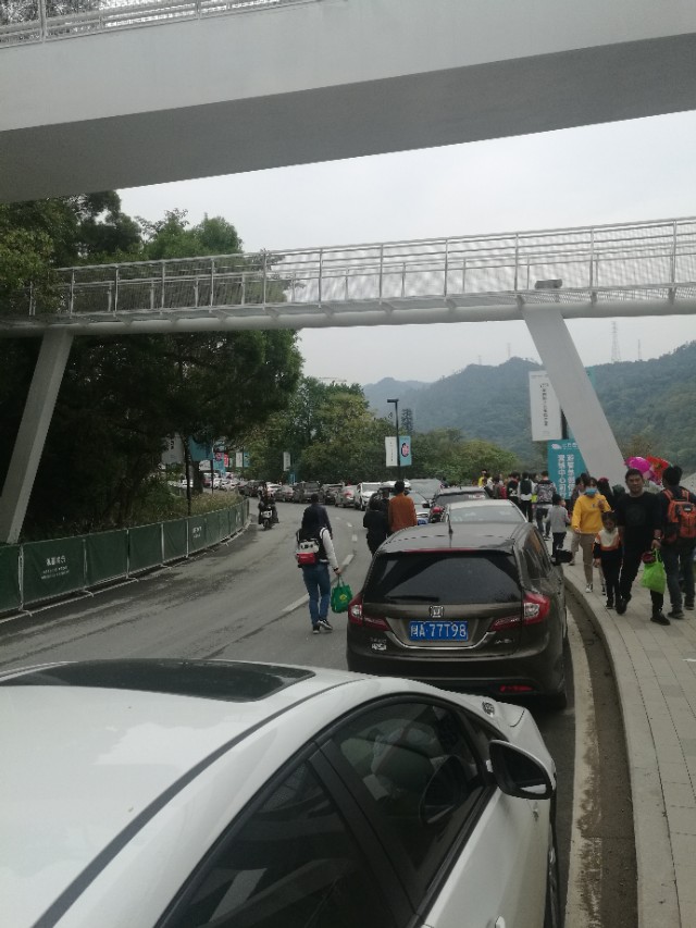 福州登云水库生态公园,福州新晋网红打卡景点在哪里