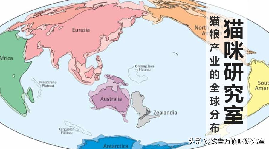 为什么会选择进口猫粮呢,为什么都说进口猫粮好