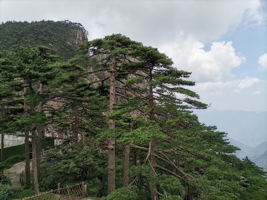 黄山游记,游记黄山