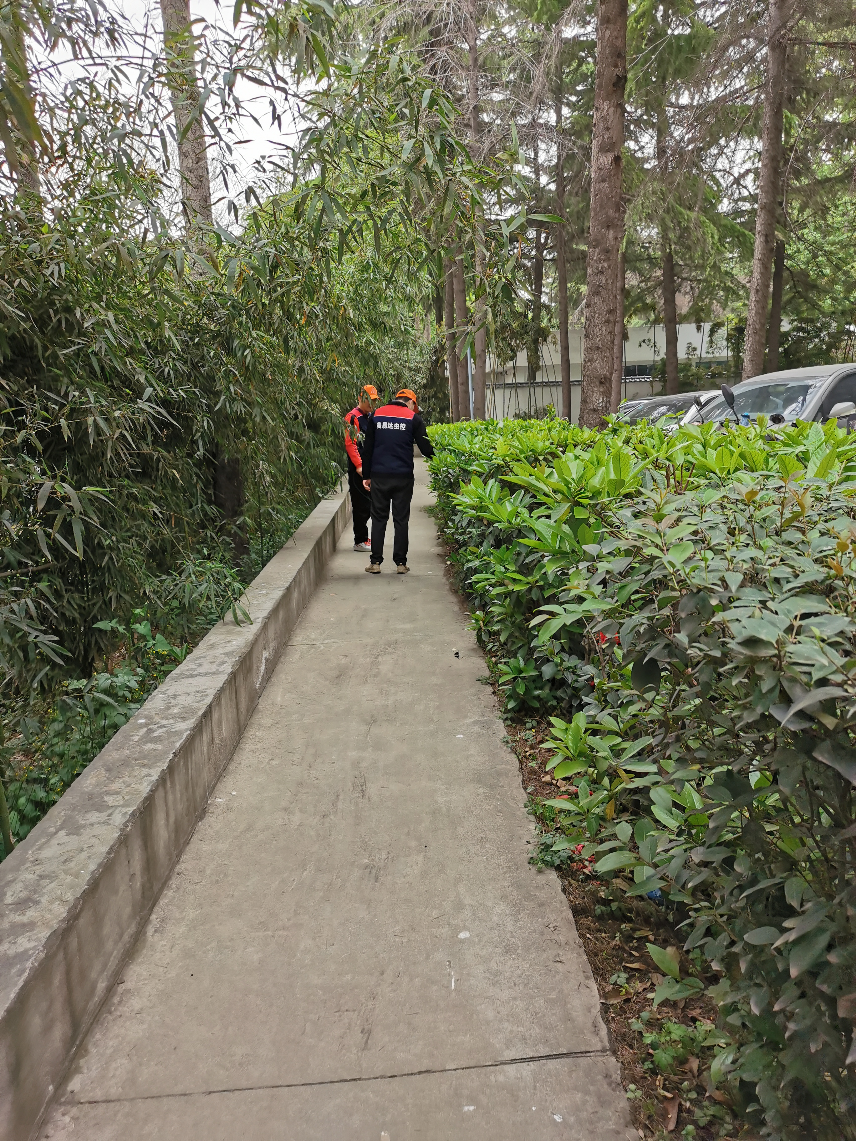 西安除虫灭蟑螂公司,陕西除虫灭蟑螂方案