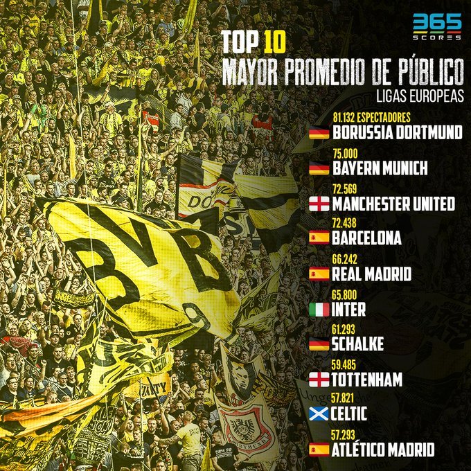 黄黑之墙电影,黄黑的墙