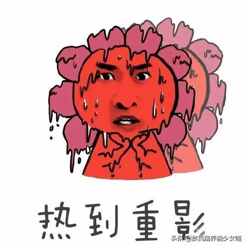 金毛狗狗中暑症状和解救方法,狗狗如何防止猫咪中暑