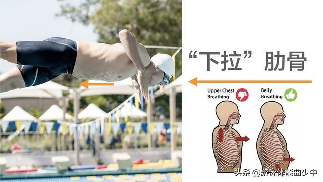 游泳时收紧核心具体应该怎么做？——“下拉”肋骨