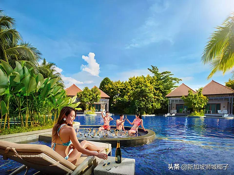 新加坡生活省钱攻略,2020新年新加坡旅游攻略