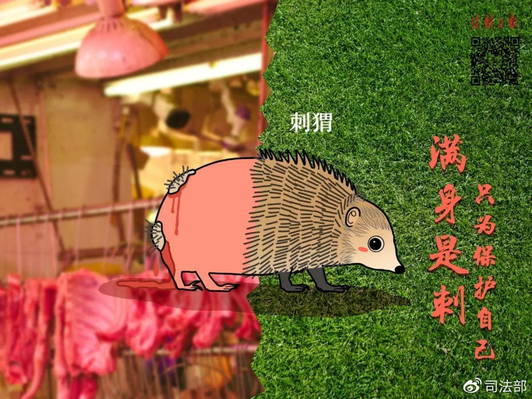 拒绝野味该做到的事情,呼吁大家拒绝野味怎么说