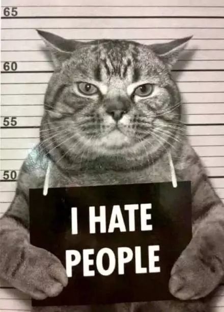 难用网红产品测评,难用的网红爆款