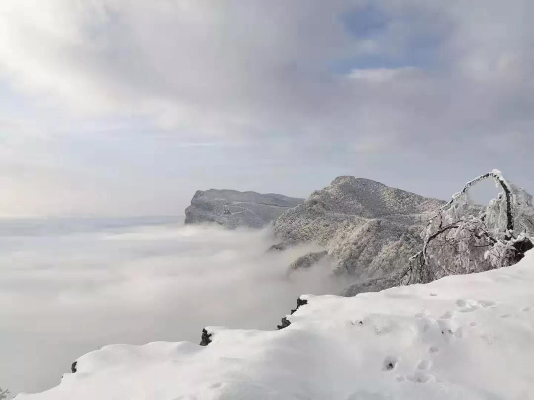 2020美到窒息！珠海的冬天，美炸了