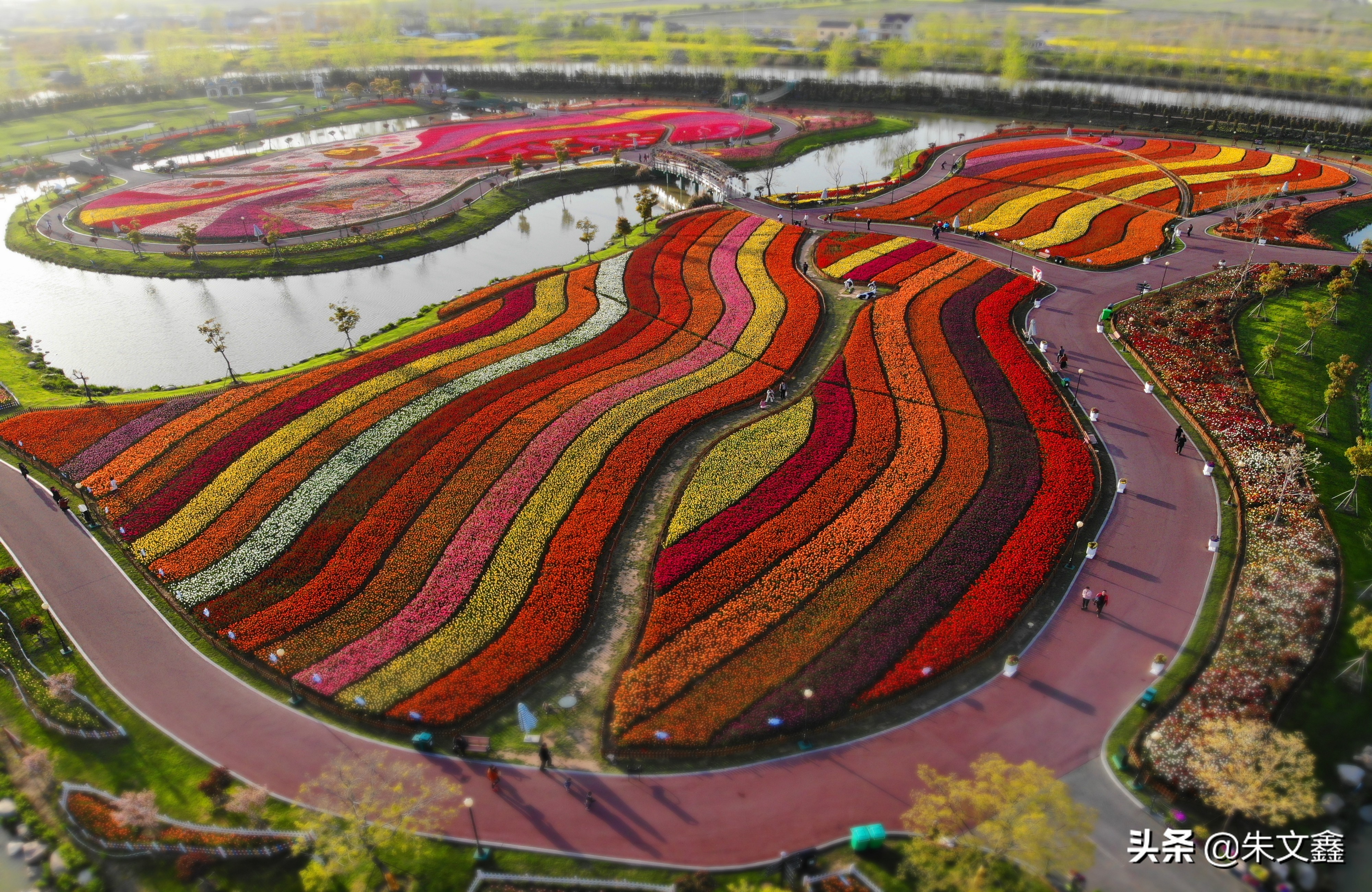 江苏大丰荷兰花海门票多少钱一张,大丰盐城荷兰花海