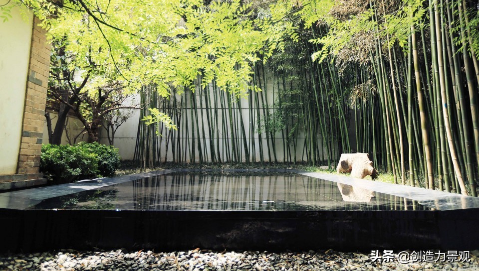 南方庭院种植什么竹子品种最好,庭院适合种什么竹子可以做隔断