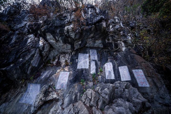 星湖冬日燃情，比落羽杉还要红的是什么？#我和湿地有个约会#