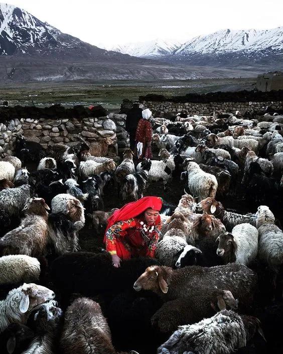 中国最没被认全的邻居,我国未被识别的民族有多少