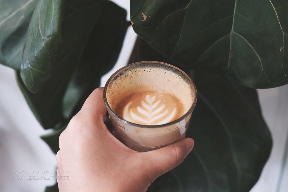 甲状腺功能亢进吃什么食物最好,甲状腺功能亢进症吃哪些食物