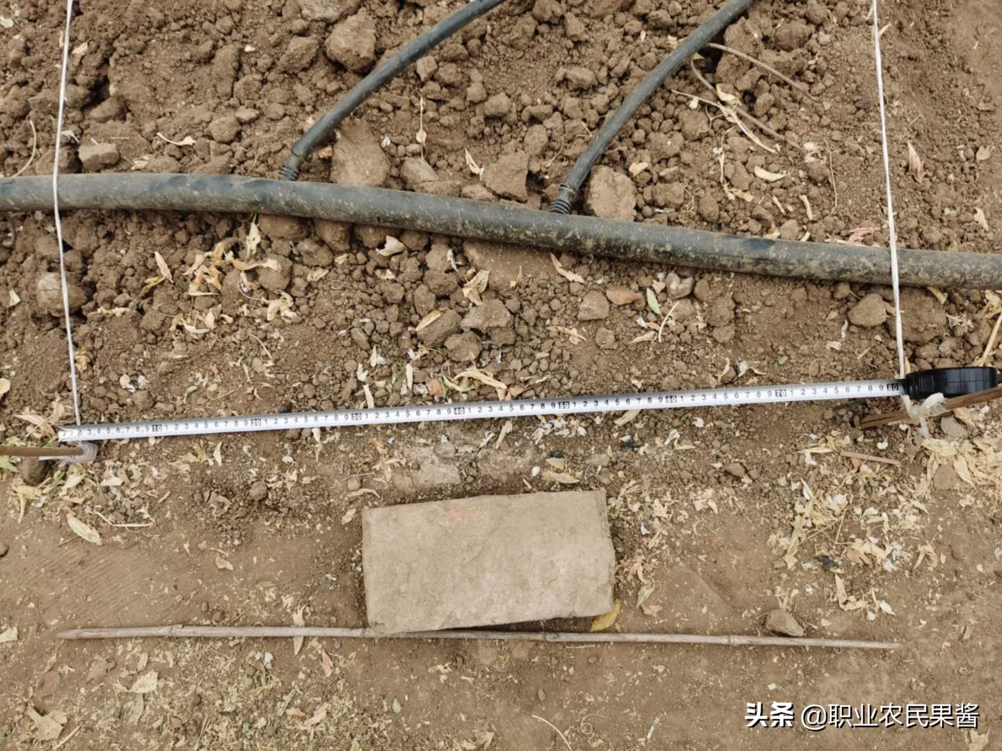 大棚蔬菜种植如何起垄,大棚蔬菜种植整地