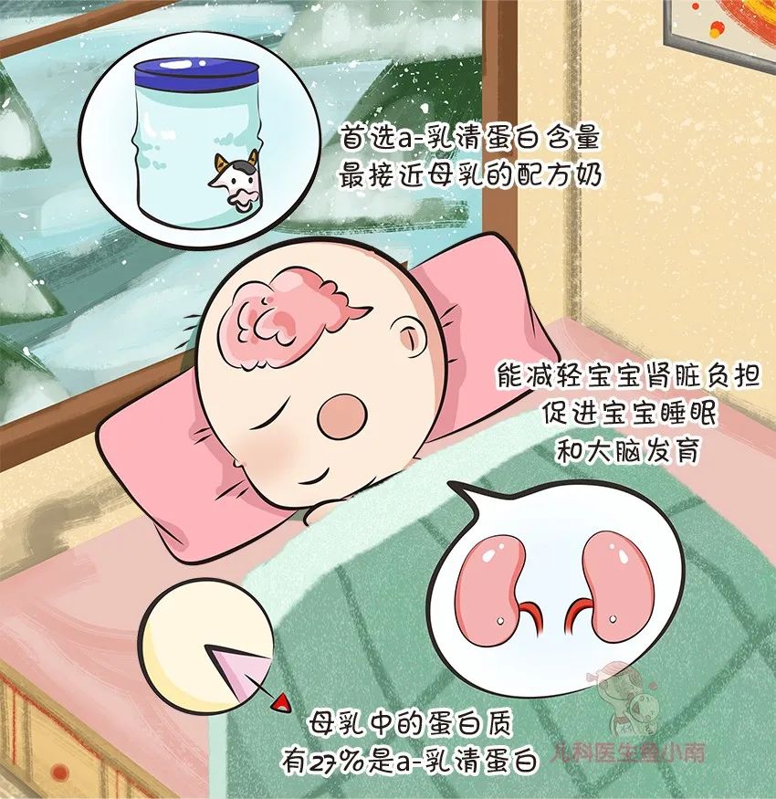 选奶粉主要看什么内容,选奶粉不再犯难几招教你轻松搞定