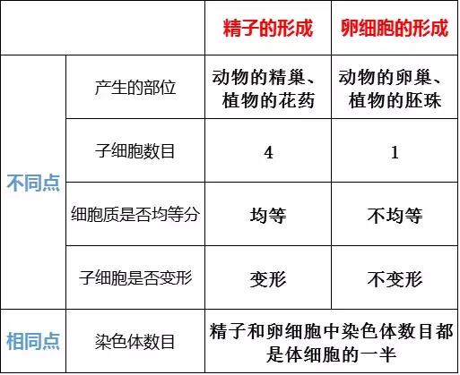 生物必修二知识点归纳总结,高中必修二生物遗传概率解题技巧
