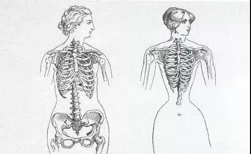 “内脏下垂、子宫脱落、漏尿……”:扒一扒你不知道的网红束腰