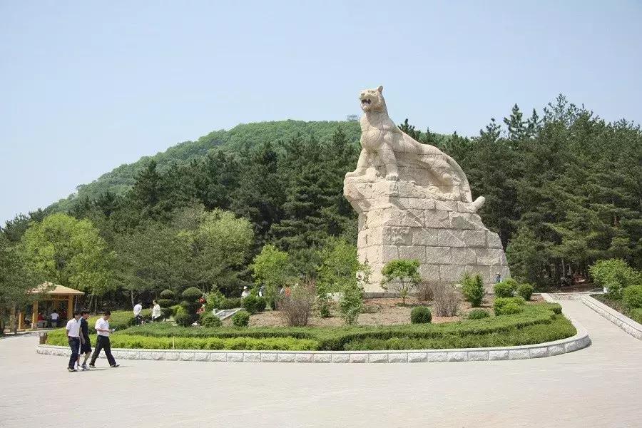 消夏季|我劝你哪凉快哪待着去！