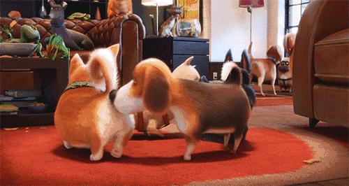 鑰佸璇磞ouare,澶栧浗浜鸿youareanimals