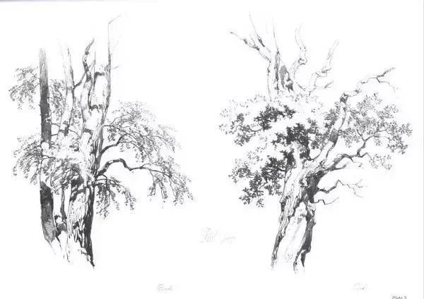 不会画就学别人画,不会画素描写生