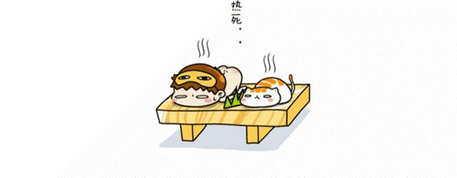 夏天猫咪中暑视频,炎炎夏日猫咪应该怎么安全度过