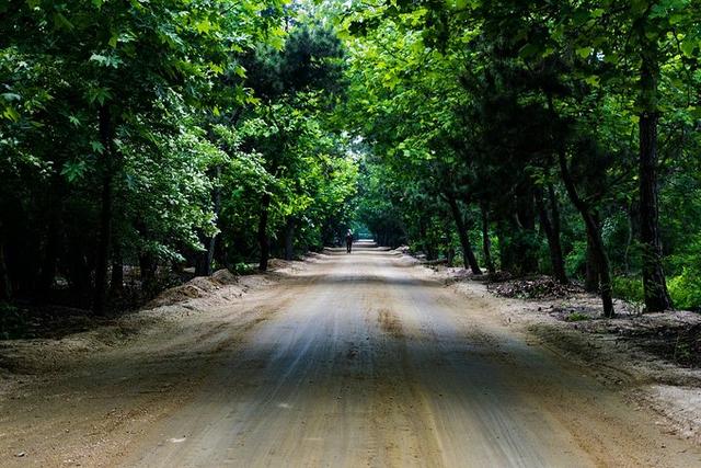 开封自驾日照途中好玩的地方 (开封附近一日游自驾游推荐)