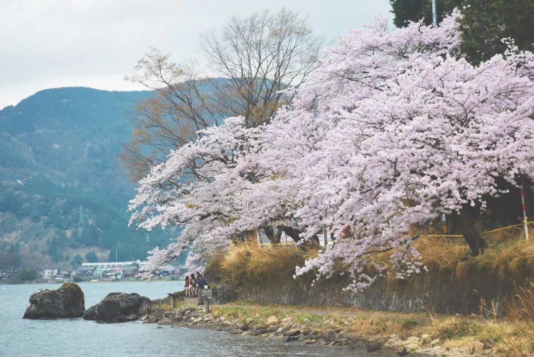 看惯了千篇一律,看惯了千篇一律的风景