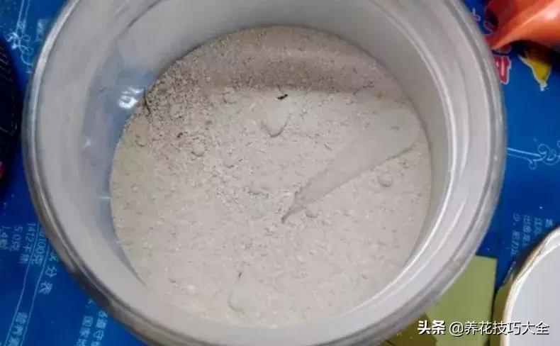 这4种花卉爱喝水浇水越多越旺盛,这几种花草浇水浇不对越养越不好