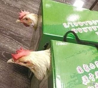 中秋节购买礼品怎么入账,老会计凭证做账技巧